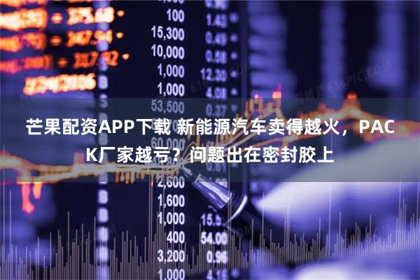 芒果配资APP下载 新能源汽车卖得越火，PACK厂家越亏？问题出在密封胶上