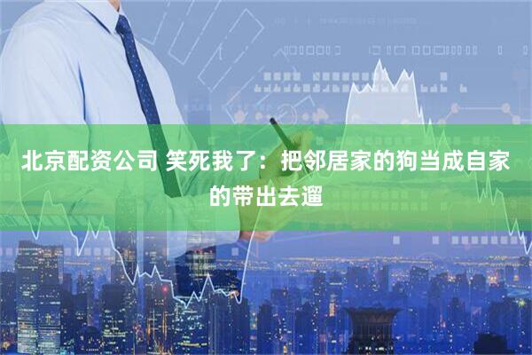 北京配资公司 笑死我了：把邻居家的狗当成自家的带出去遛