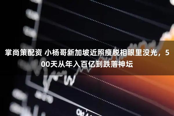 掌尚策配资 小杨哥新加坡近照瘦脱相眼里没光，500天从年入百亿到跌落神坛